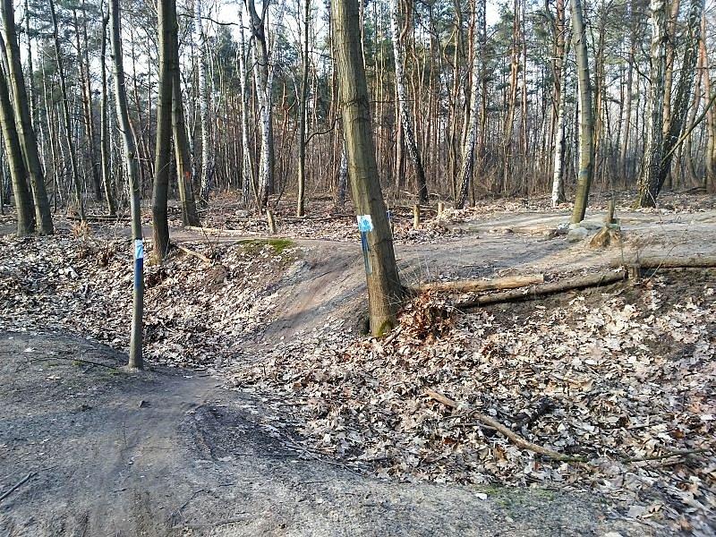 Rychlebskie stezky w poziomie (Warsja Watowska)