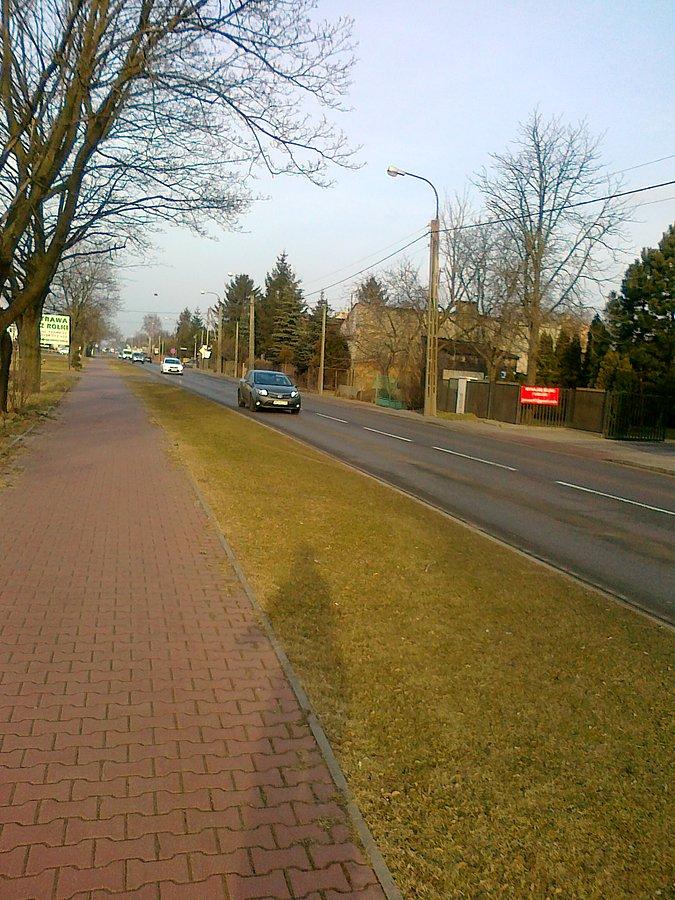 Słoneczny poranek