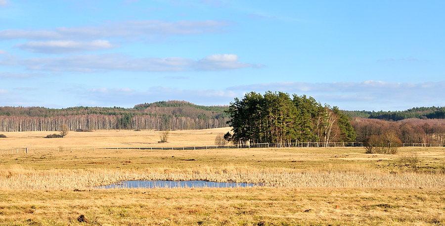Okolice Rudna