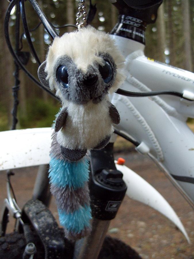 Nawet Lemur widząc te harce był zdziwiony do tego stopnia że mało oczy mu nie wypadły ;))