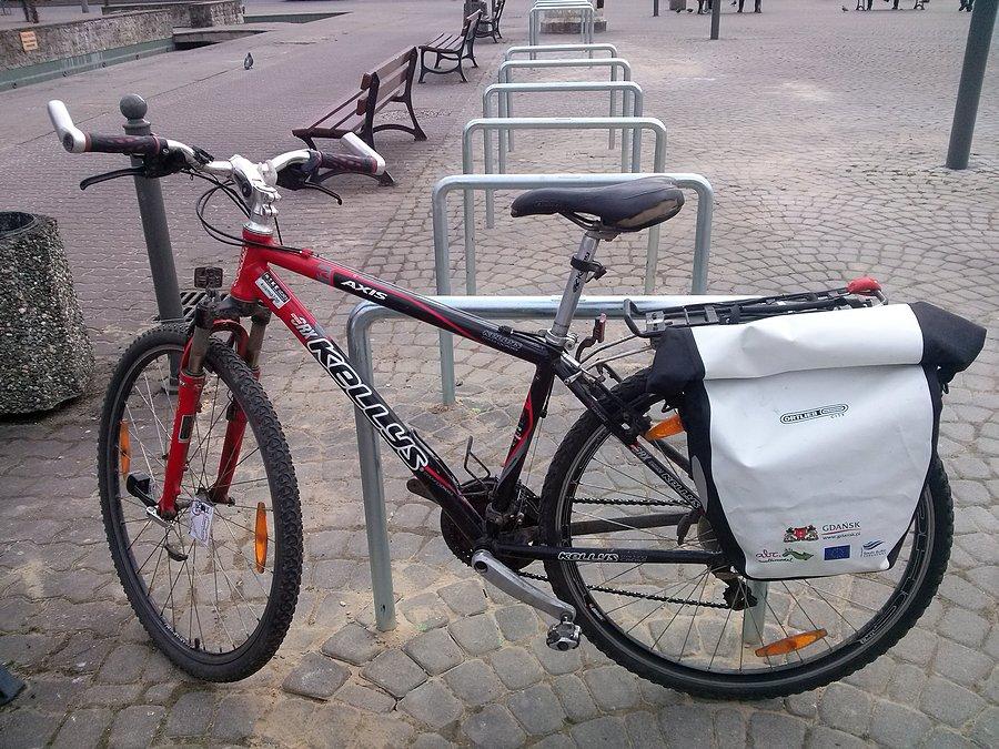 Kellysek przy nowym stojaku w Dąbrowie Górniczej