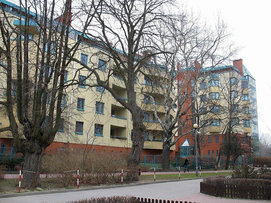 DDR na Natolinie przy ul. Borsuka