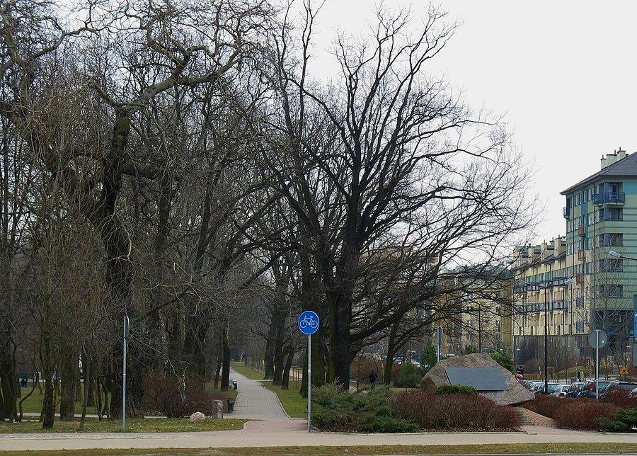 Aleja Kasztanowa