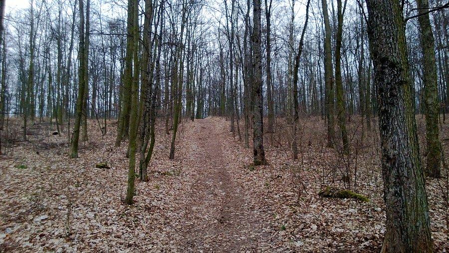 taki tam podjazd