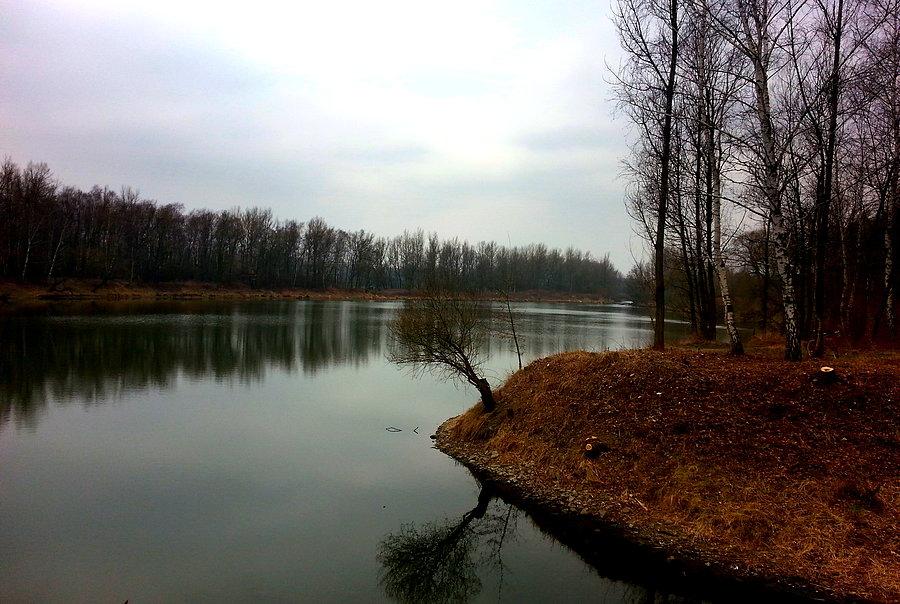 Stawy w Antosovicach