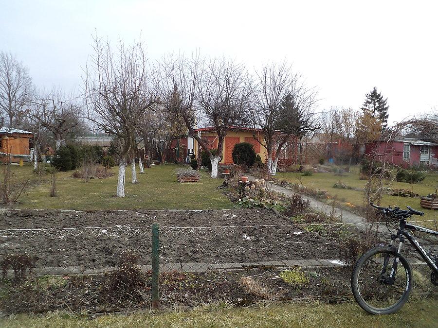 Działka Dareckiego