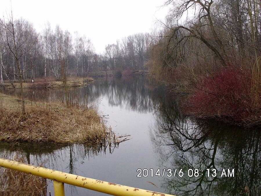 Staw Zacisze