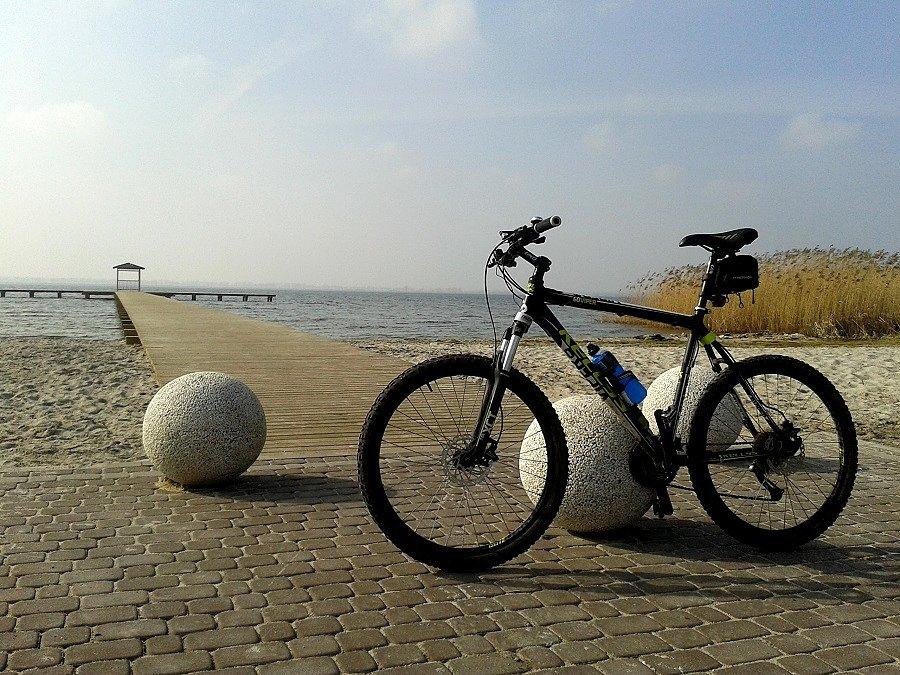 Jezioro Miedwie w Wierzbnie