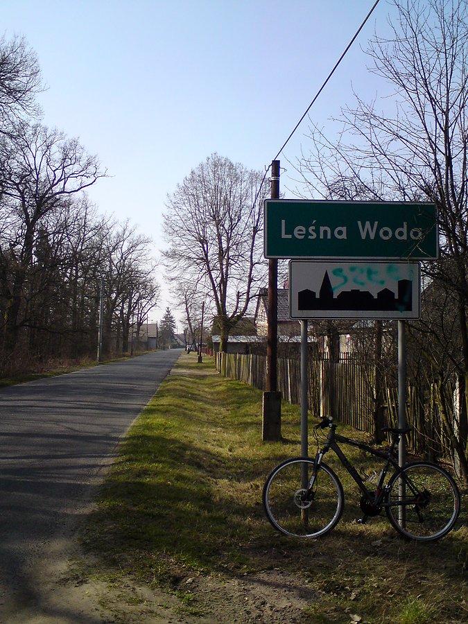 W Leśnej Wodzie