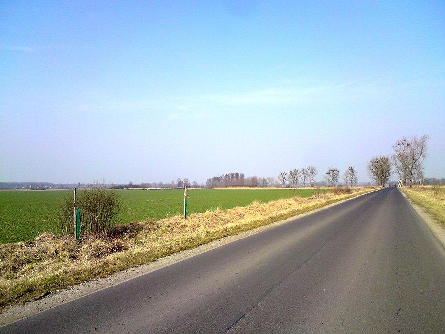 Bezdroża zachodniej części gminy
