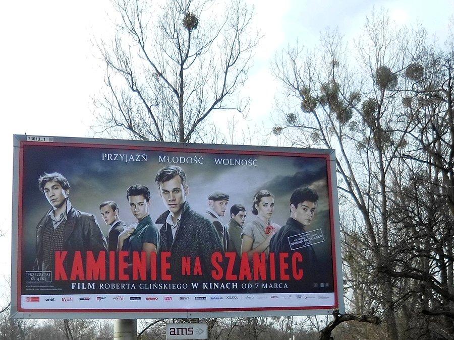 (...)Żem dla ojczyzny sterał moje lata młode(...)