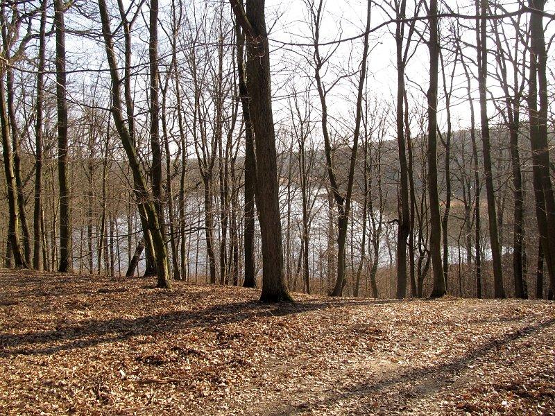 Jezioro Leśne