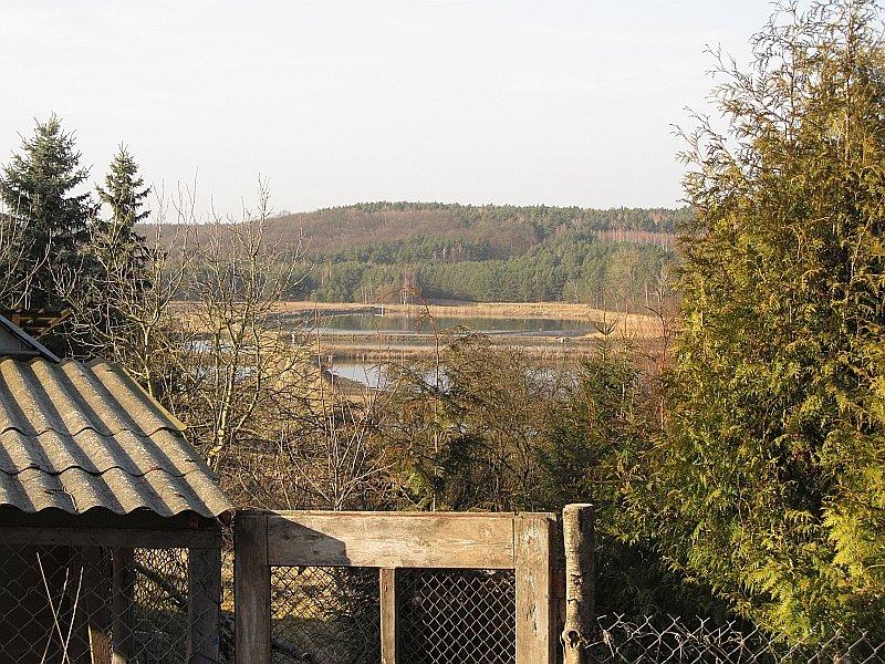 Stawy hodowlane w Dąbrówce Kościelnej