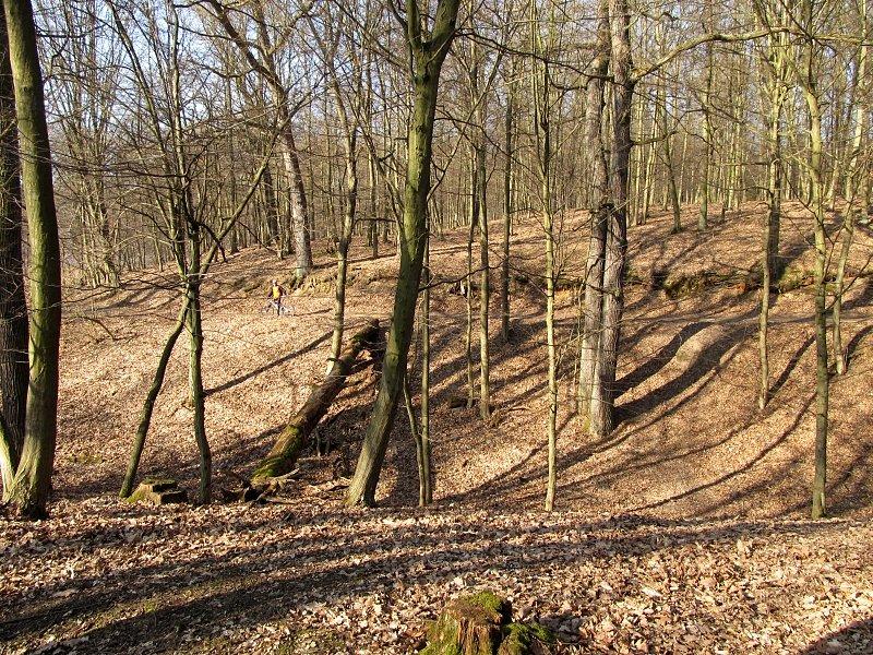 Zjadź Wojtasa