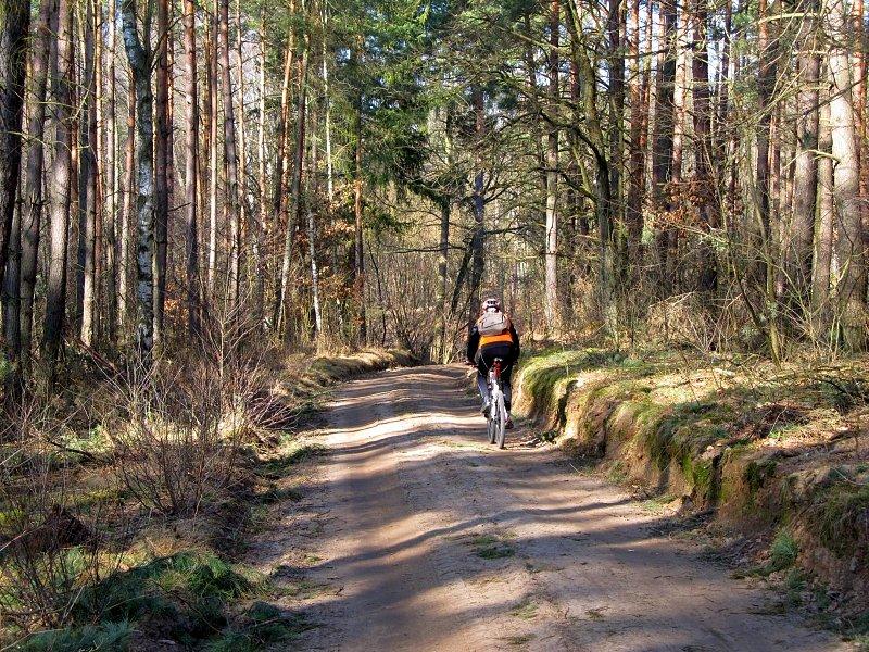 Droga leśna z Zielonki do Głęboczka