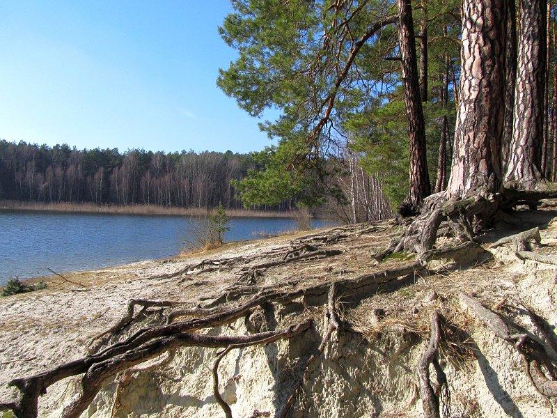 Jezioro Miejskie w Okońcu