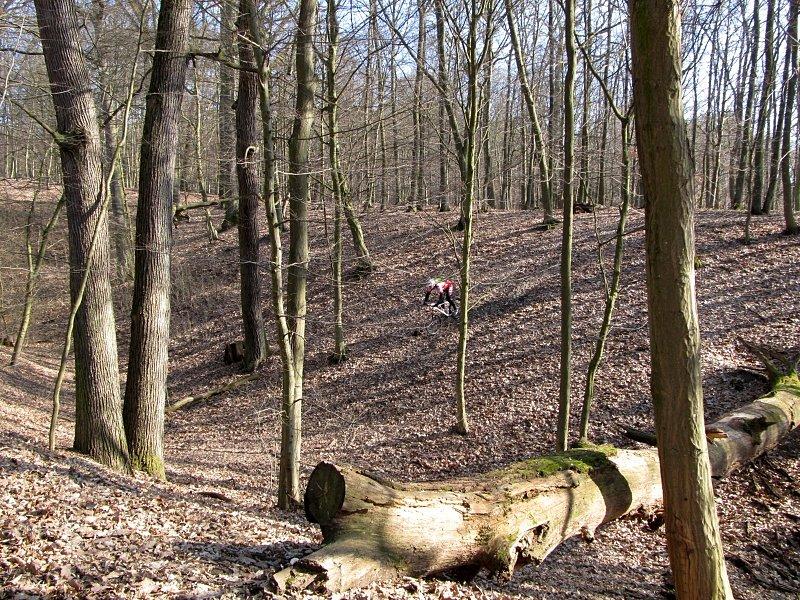 Troszkę szaleństw w wąwozie