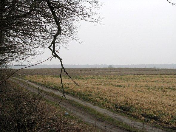 Widok na pola nieopodal Marianki