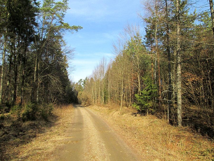Rozgrzewki ciąg dalszy
