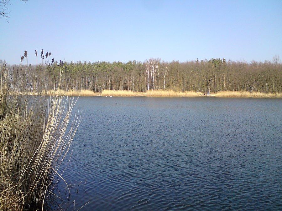 Babi Loszek