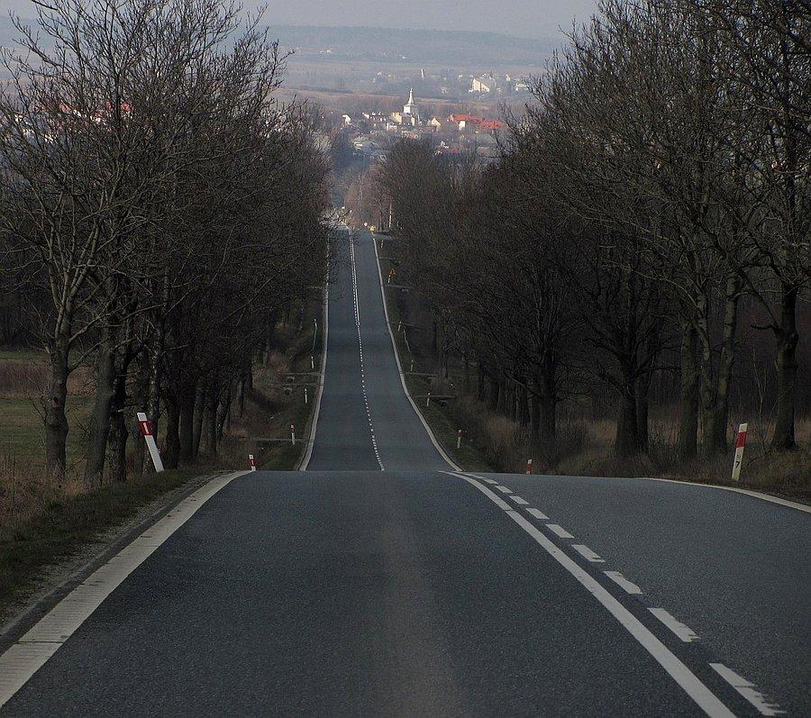 Hopa w okolicy Starego Żmigrodu