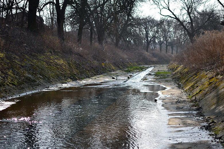 Jasień poniżej wylotu z kanału