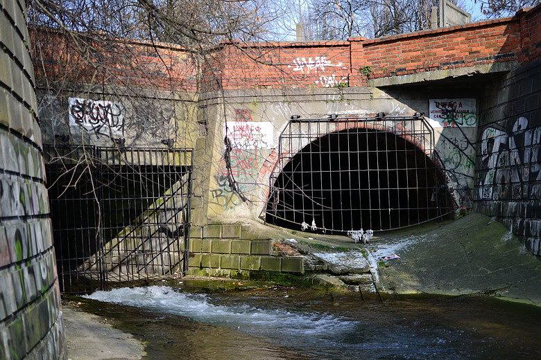Wylot kanału Jasienia i kanału burzowego