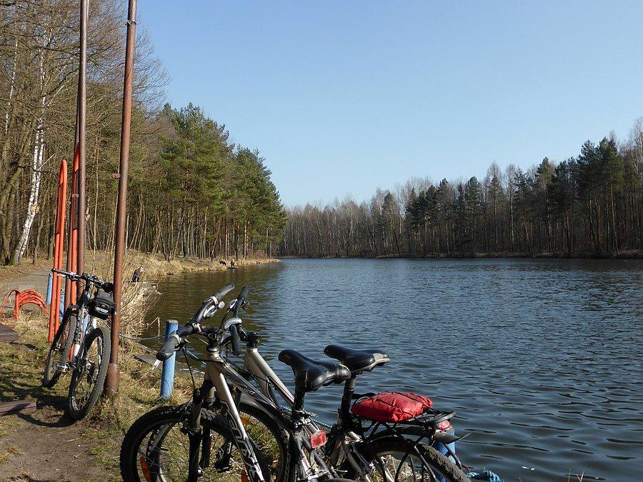Wielu rowerzystów przyjechało nad wodę