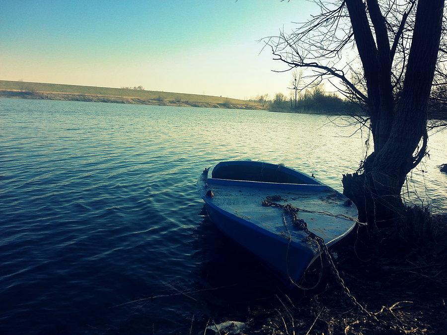 Staw w okolicy Krzyżanowic