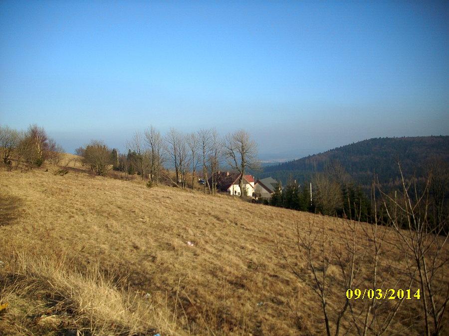 Zieleniec