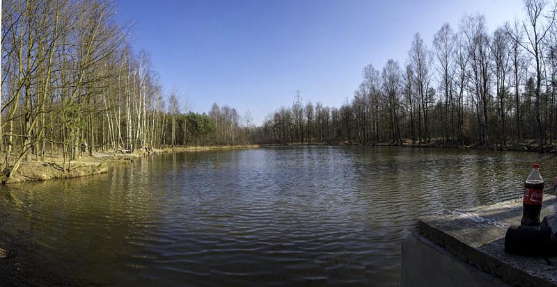 Stawek w pobliżu Ochojca