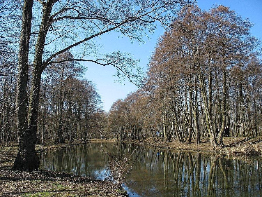 Jeziorka przy Parku Zdrojowym