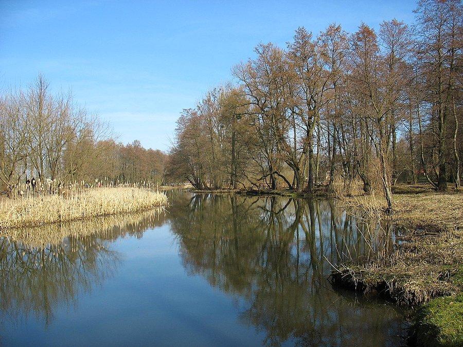 Rzeka Jeziorka