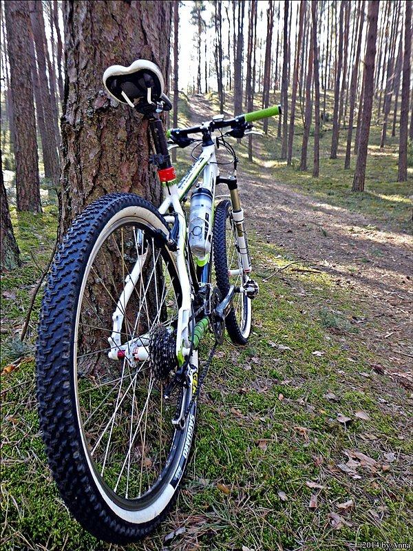 Groszek na tą hardkorową górkę się nie pchał tylko gzrecznie stał i czekał aż Mariusz się wyszaleje
