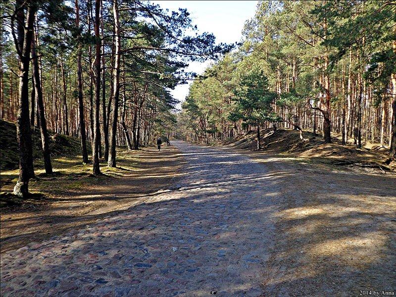 Gdzieś na trasie w kierunku zachodu