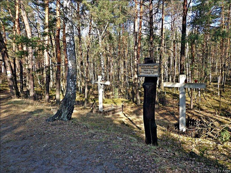 Gdzieś na trasie w kierunku zachodu