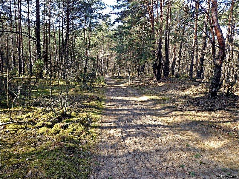 Gdzieś na trasie w kierunku zachodu