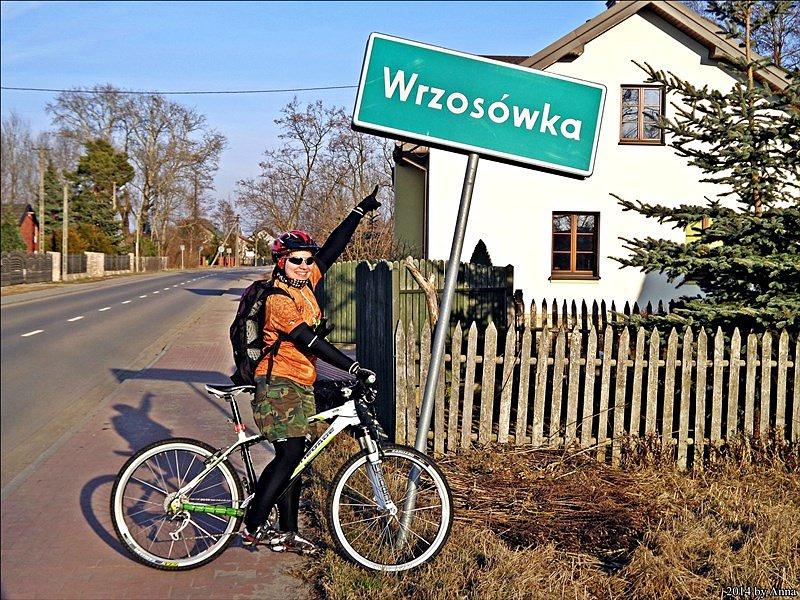 Wrzosówki