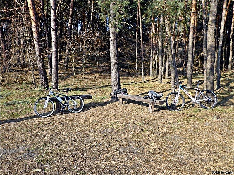 Górki