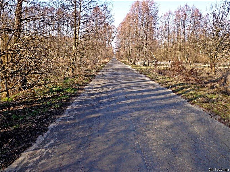 Górki