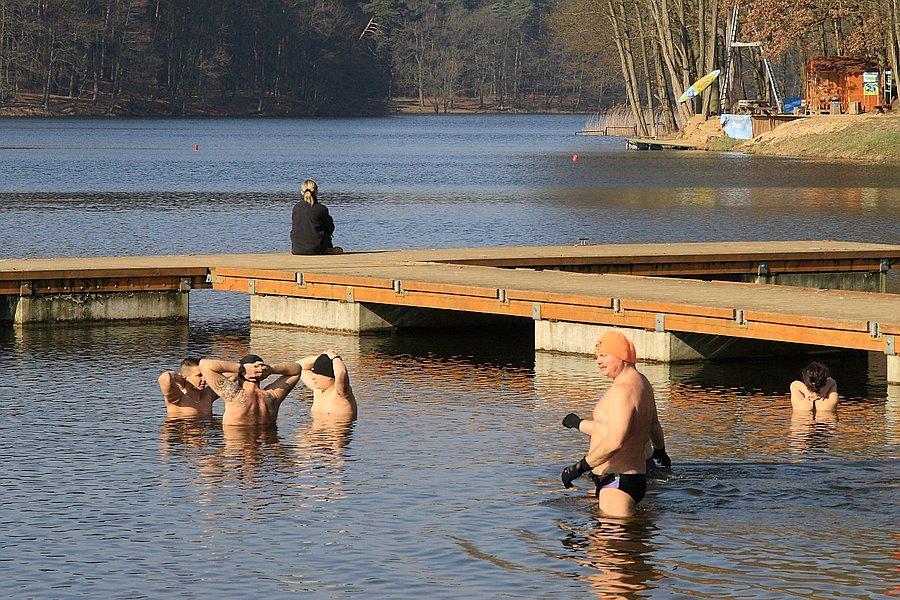 Morsy w jeziorze Głębokie