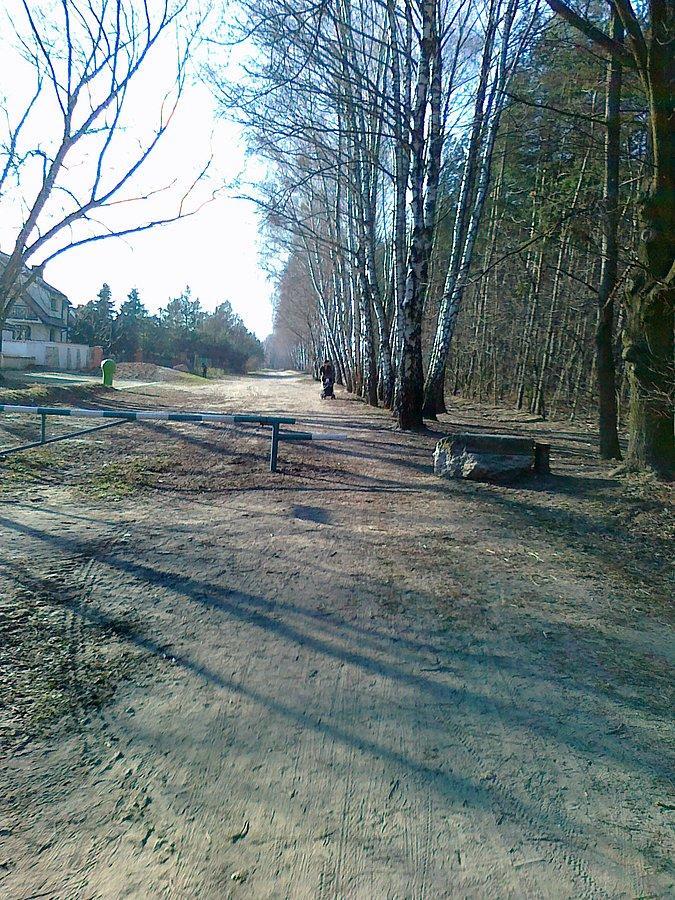 Słonecznie