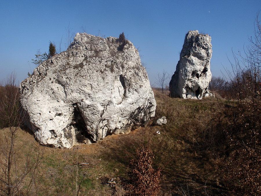 Skałki na Suchym Połciu
