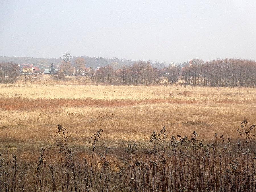 Panorama Mrozowa II