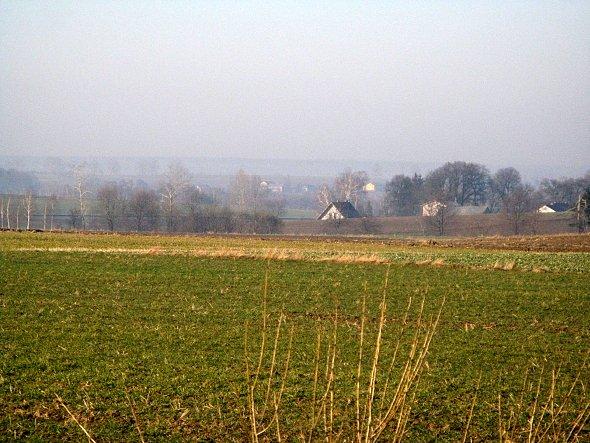 Pola koło Wierciszowa