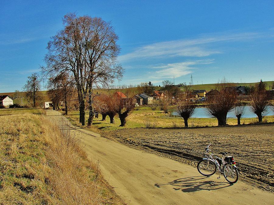 Na trasie wycieczki. Krajobraz Kociewia