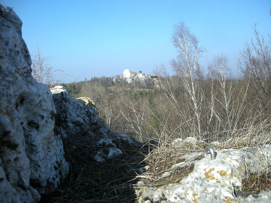 Widok na Górę Birów z Góry Suchy Połeć
