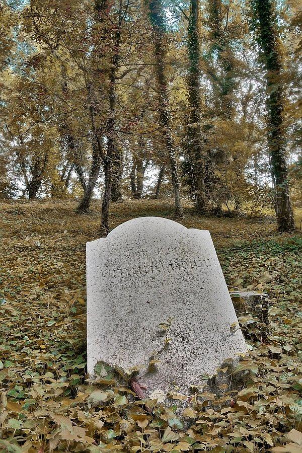 Lapidarium przy ul. Nehringa w Szczecinie