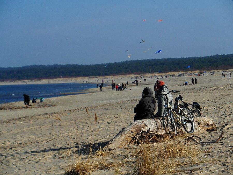 Marcowa plaża w Mikoszewie