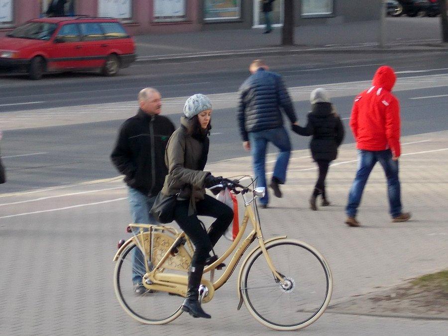 Elbląska rowerzystka